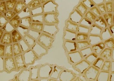 Tecnología de aireación de alta velocidad MBBR Biochips portadores Tratamiento de aguas municipales