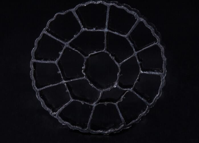 Material de HDPE PE06 Biomedia, MBBR Medios de filtro 25 mm X 12 mm Colorido