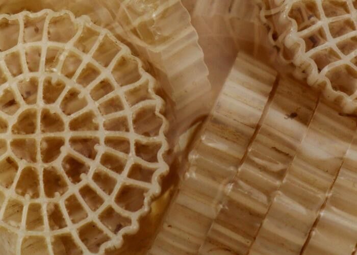 Aquacultura basada en la tierra Fórmula especial BIO bolas Medios de filtro MBBR para RAS